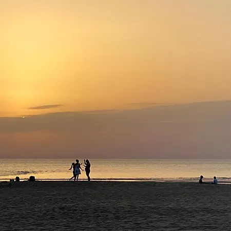 Residentie Sofia, Coxy-beach, Iepenwal, Kraaienest, Atlantic, Royal, Miramar * Koksijde