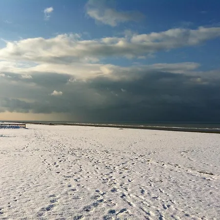 Residentie Sofia, Coxy-beach, Iepenwal, Kraaienest, Atlantic, Royal, Miramar
